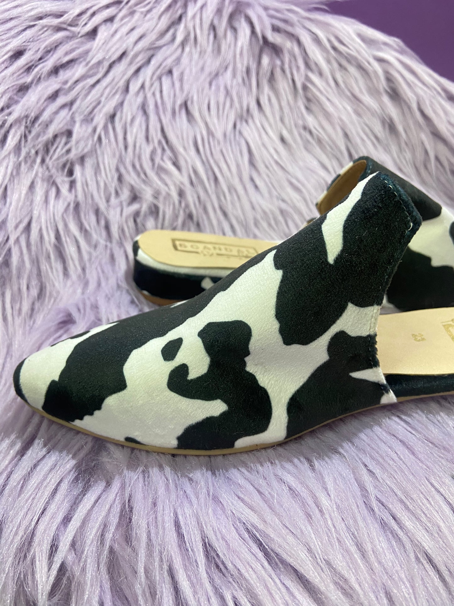 COW 🐮🐄MULES
