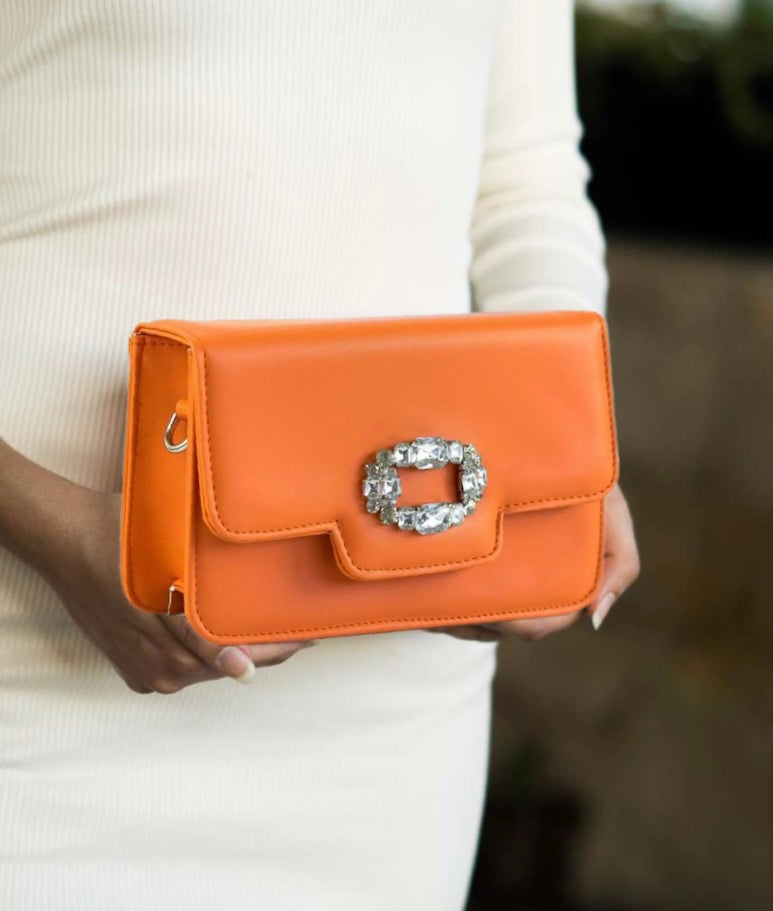 CARROT 🥕 CLUTCH BAG