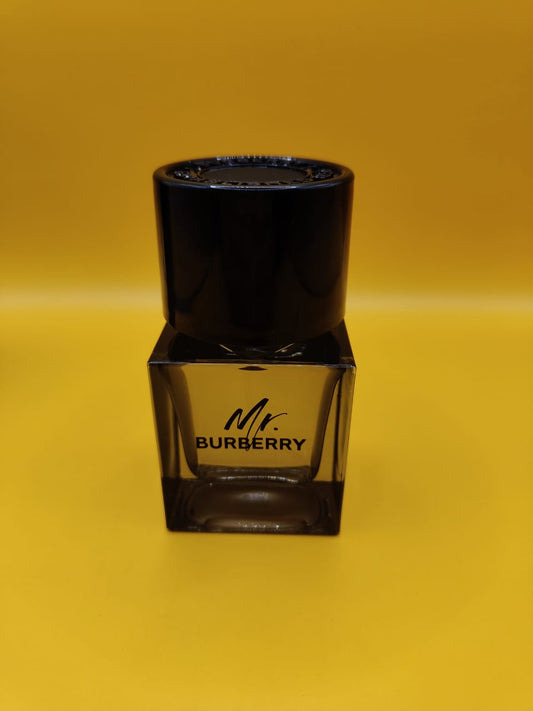 MR.BURBERRY- BURBERRY